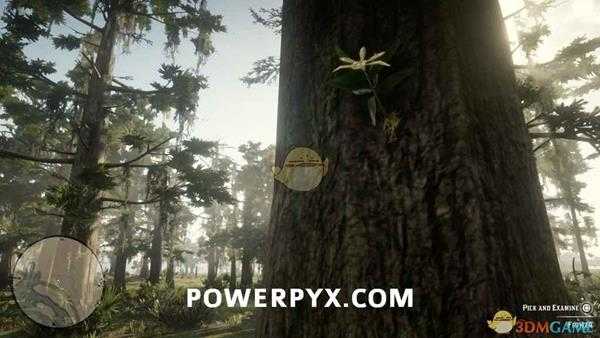 《荒野大镖客2》全异宝植物采集位置一览