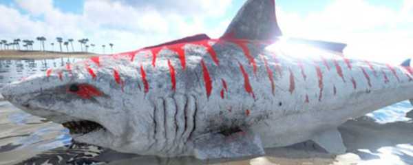 方舟巨齿鲨怎么训