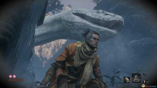 《只狼：影逝二度》白蛇击杀方法分享