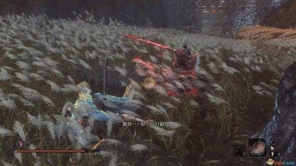 《只狼：影逝二度》京城水获得方法分享