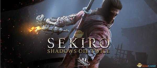 《只狼:影逝二度》游戏大致流程图分享