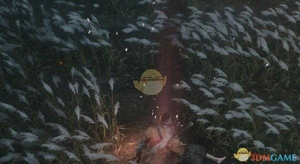 《只狼:影逝二度》樱龙之泪描述一览