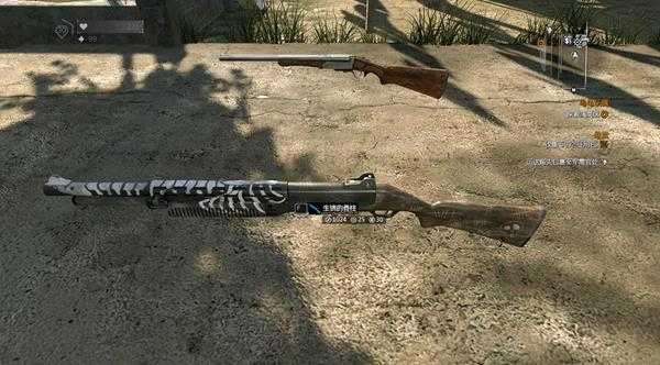 《消逝的光芒》全霰弹枪图鉴及获取方式一览