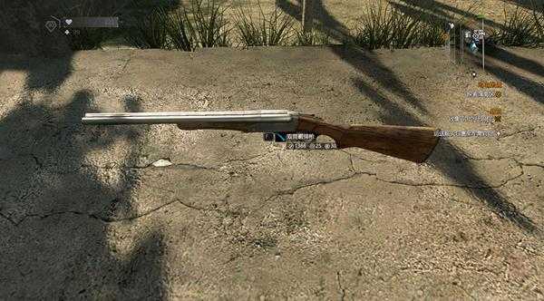 《消逝的光芒》全霰弹枪图鉴及获取方式一览