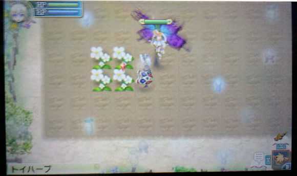 《符文工房4》大型作物的种植方法