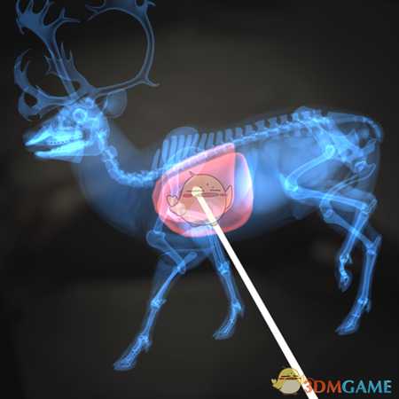 《猎人:荒野的呼唤》驯鹿&赤鹿步枪速杀攻略