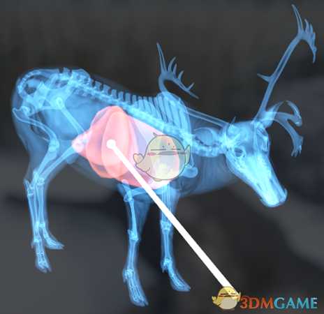 《猎人:荒野的呼唤》驯鹿&赤鹿步枪速杀攻略