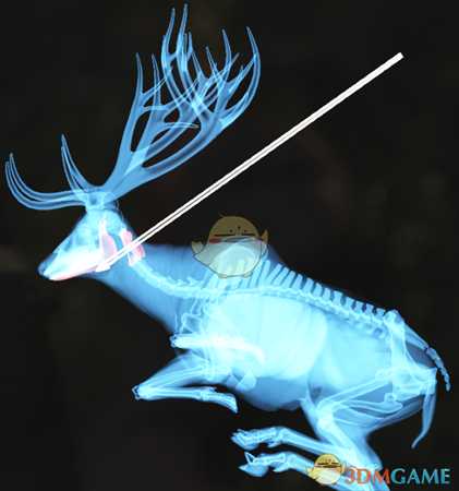 《猎人:荒野的呼唤》驯鹿&赤鹿步枪速杀攻略