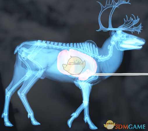 《猎人:荒野的呼唤》驯鹿&赤鹿步枪速杀攻略