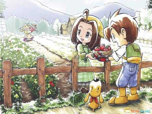 《牧场物语:矿石镇的伙伴们》全地点环境介绍