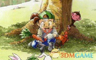 《牧场物语:矿石镇的伙伴们》和卡莲结婚方法