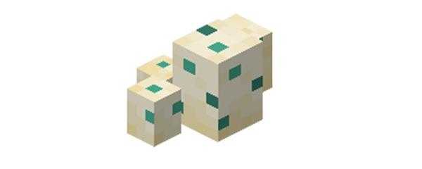 我的世界海龟蛋孵化要多久