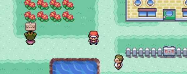 口袋妖怪火红性格