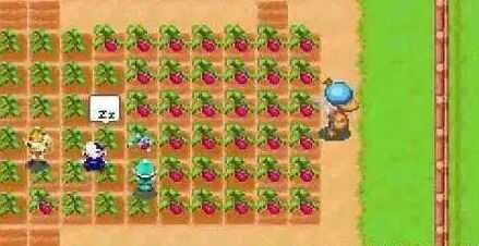 《牧场物语:矿石镇的伙伴们》海之别墅获得方法介绍