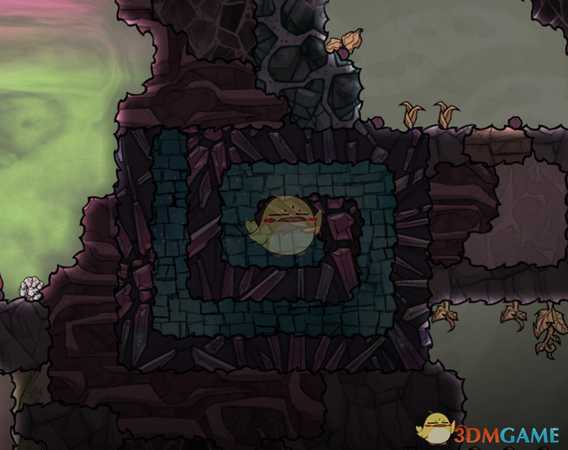 《缺氧》生活质量第三期体验分享