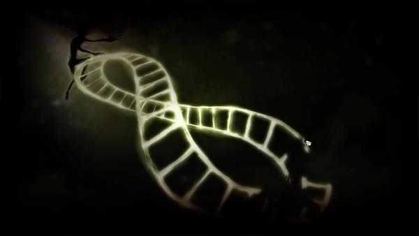 《归于沉寂》全追随者详解图鉴 全怪物解析图鉴