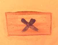 《恶果之地》地形陷阱压力板和落点介绍