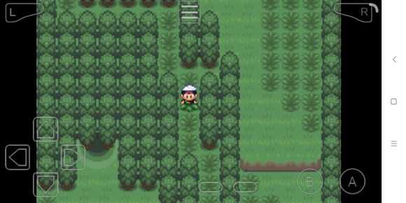 究极绿宝石3mega石地点