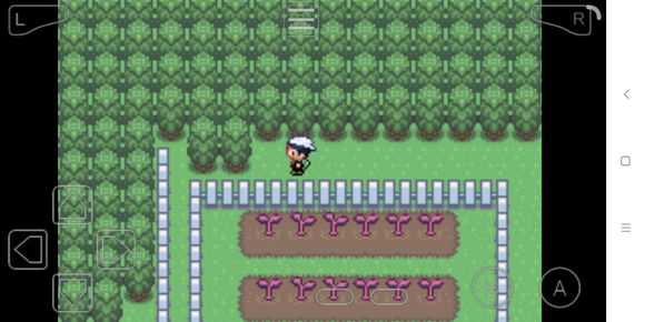 究极绿宝石3mega石地点