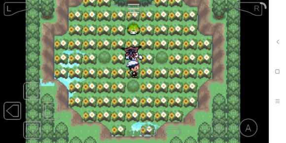 究极绿宝石3mega石地点