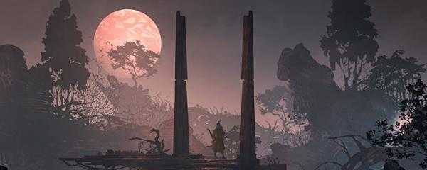 只狼是单机游戏吗