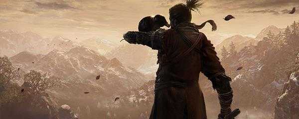 只狼电脑能玩吗