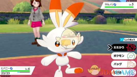 《精灵宝可梦:剑/盾》火系御三家炎兔儿简介