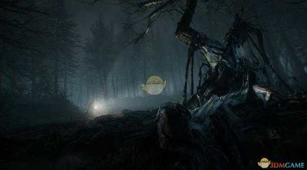 《布莱尔女巫》成人内容介绍