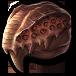 《群星：远古遗物》以太巨龙战利品效果及获取方式分享