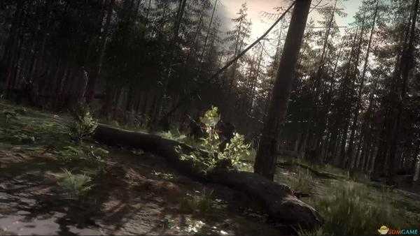 《人间地狱》指挥官弹药栏作用介绍