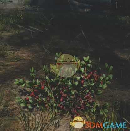 《往日不再》熊果苷收集地点与外形一览