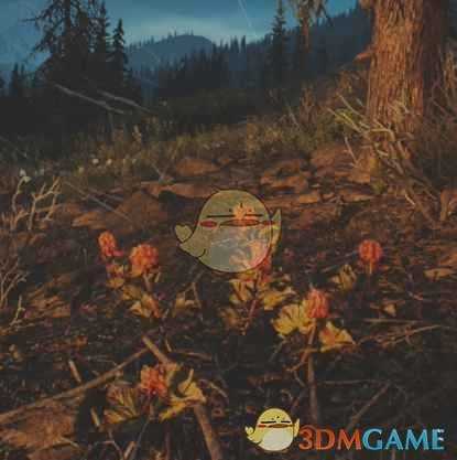 《往日不再》云莓收集地点与外形一览