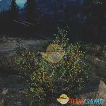 《往日不再》金醋栗收集地点与外形一览