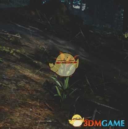 《往日不再》木头百合收集地点与外形一览