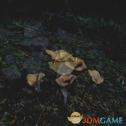 《往日不再》丰收号角收集地点与外形一览