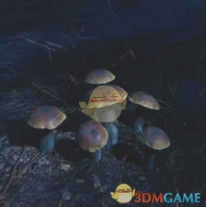 《往日不再》牛肝菌收集地点与外形一览