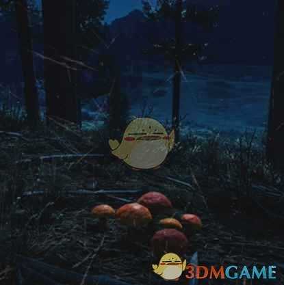 《往日不再》落叶松牛肝菌收集地点与外形一览