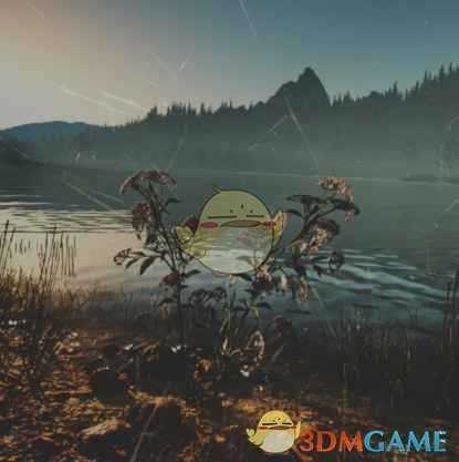 《往日不再》毒芹收集地点与外形一览