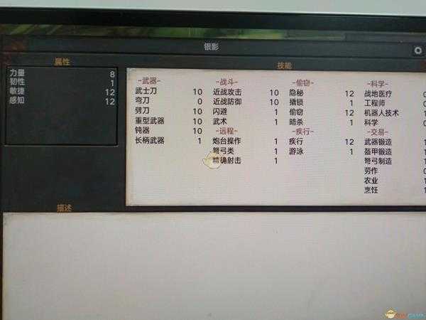 《剑士》特殊队友银影属性分享