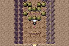 水舰队洞窟怎么走