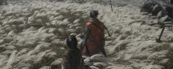 只狼赤成珠有什么用