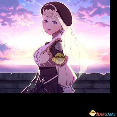 《火焰纹章：风花雪月》全人物S羁绊结局CG