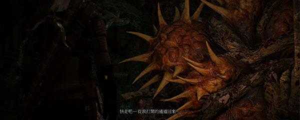 巫师3林中女巫完美结局