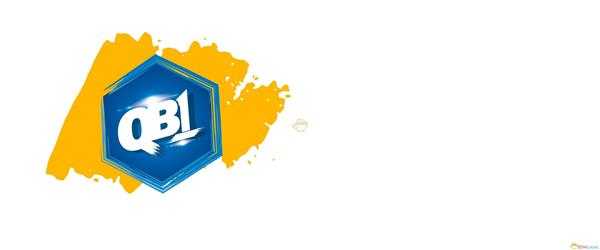 《麦登橄榄球20》游戏方式介绍