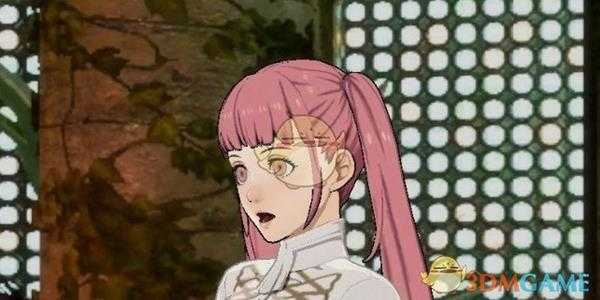 《火焰纹章：风花雪月》希尔妲特技效果介绍