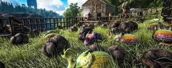 方舟茅草怎么快速获得