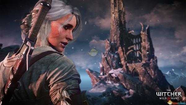 《巫师3：狂猎》石之心神偷套装代码分享