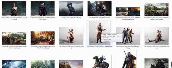 巫师3文件查看福利片段