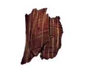 方舟生存进化自制食谱