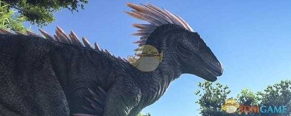 方舟非专老是连接超时